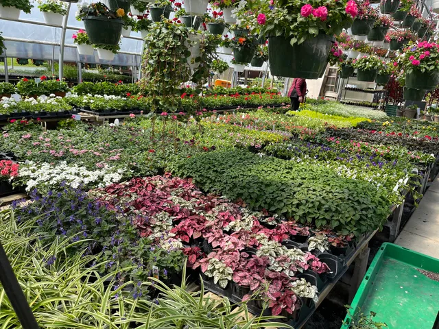 Court'sYard & Greenhouse