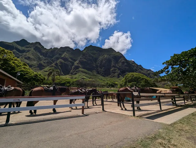 Kualoa Ranch Gift Shop
