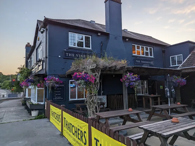 The Vine Tree & The Tree House