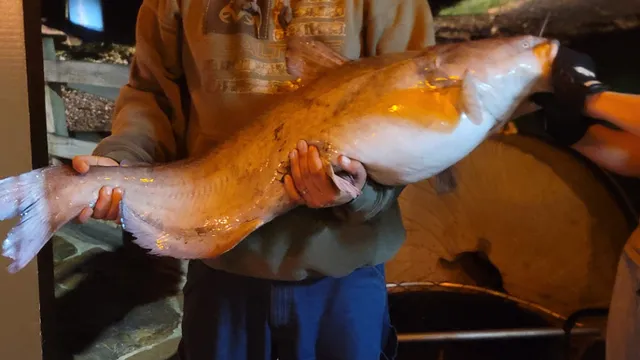 Family Fishing N’ Camping