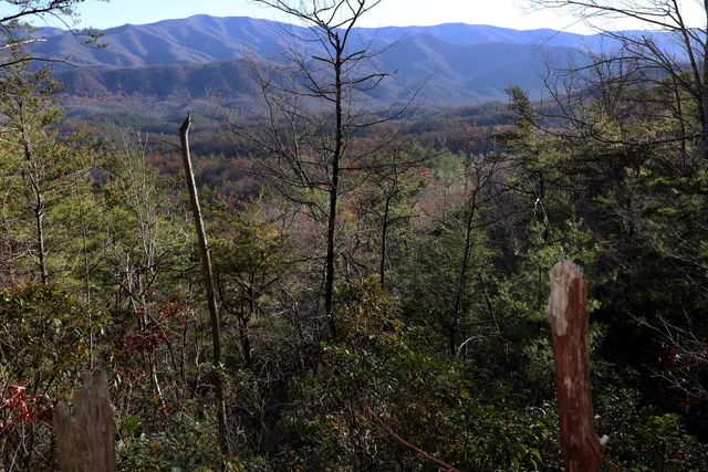 Chestnut Top Trailhead