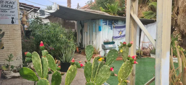 Lowest Place on Earth B&B Group Low Cost Accommodation | המקום הנמוך בעולם צימר למשפחות וקבוצות עם בריכה כלבים נוודים דיגי