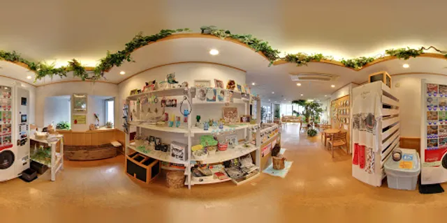 Fukuro No Iru Mori Owl Cafe