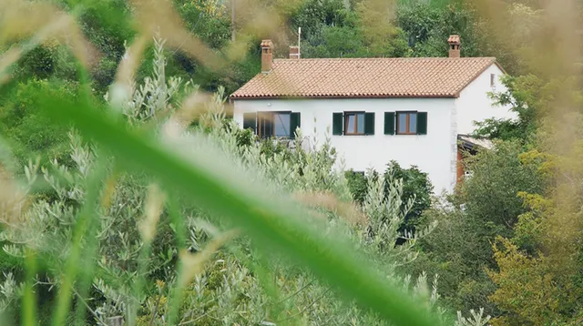 Apartment Nona Ančka