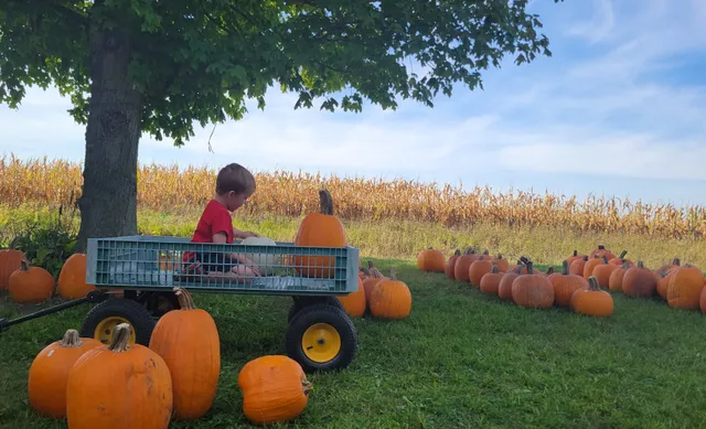 Pierce's Pumpkin Patch