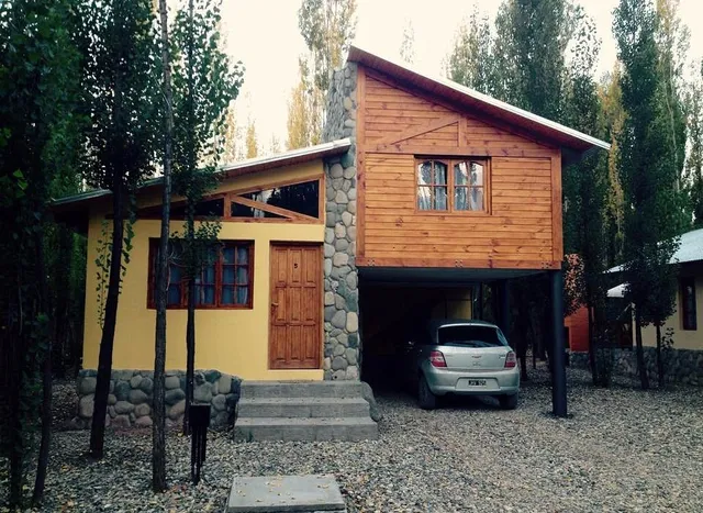 Terraces in the Forest