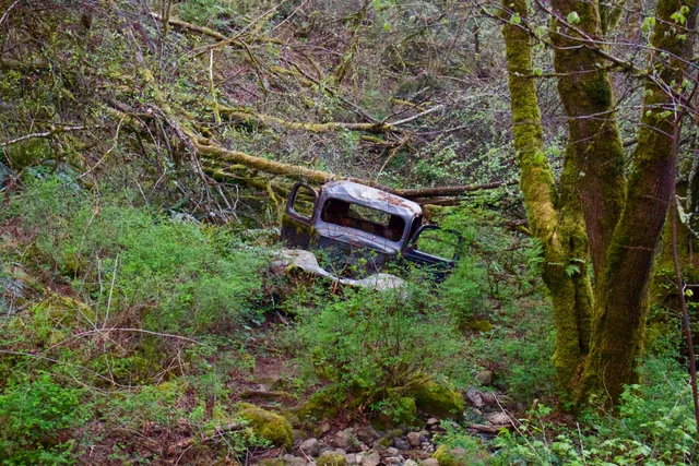 Mount Scott Nature Park