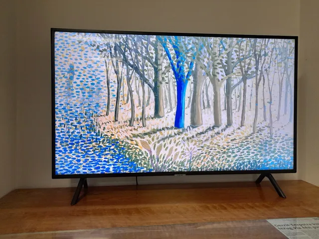 Kapershut Appartement Ster