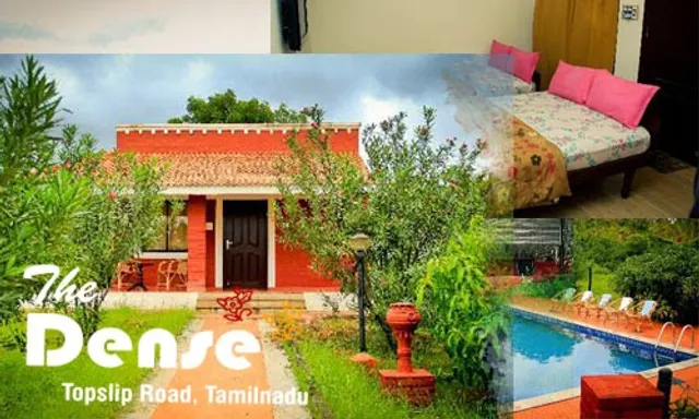The Dense - A Jungle Resort