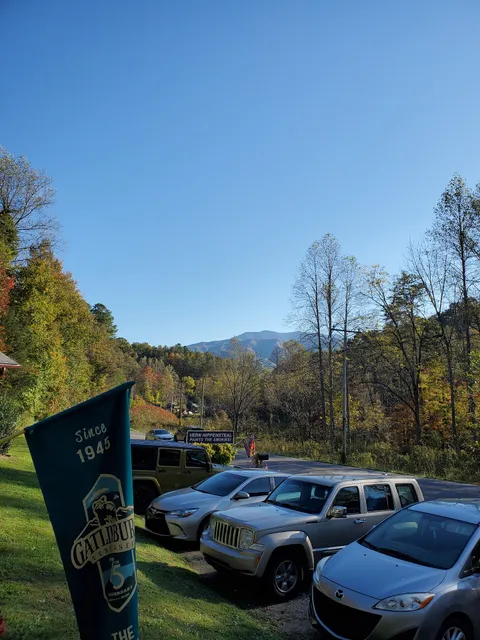 Vern Hippensteal Gallery