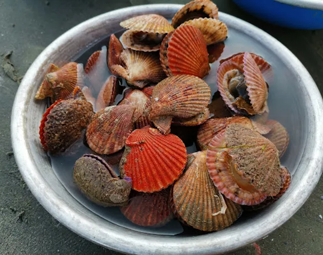 Mui Ne Fishing Village