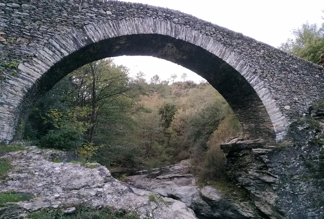 Gîte du Pin en Cévennes