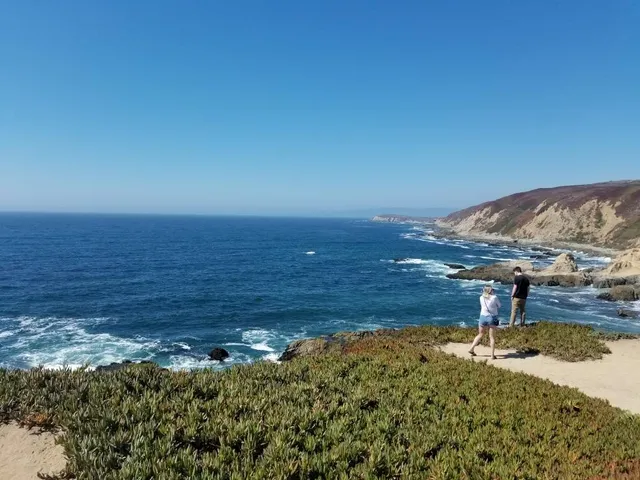 Livermore Valley Wine Auction