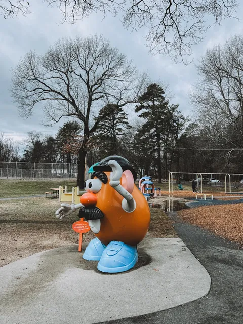 Wilson Boundless Playground