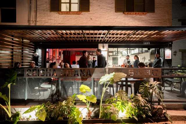 Geisha Gitana - Providencia