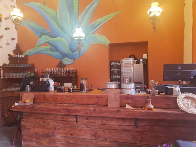 Casa de los Magueyes