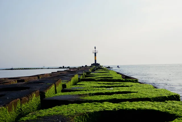 Bãi Biển Hải Dương