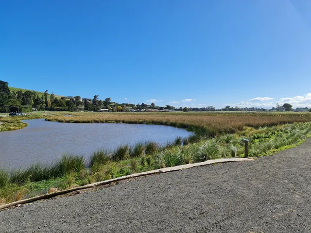 Te Kuru Wetland