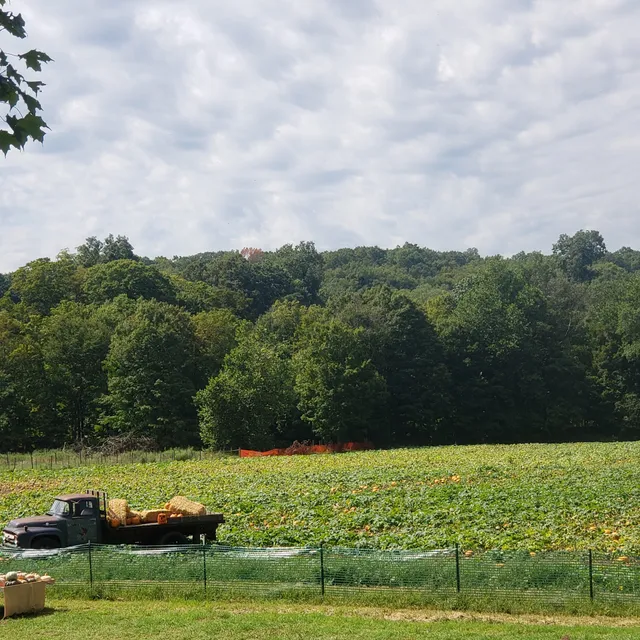 The Farm, Woodbury CT