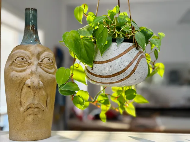 Clayer & Co Pottery Studio