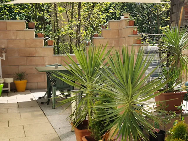 Gaststätte und Pension Zum Schluckspecht