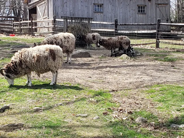 The Knobloch Family Farmhouse