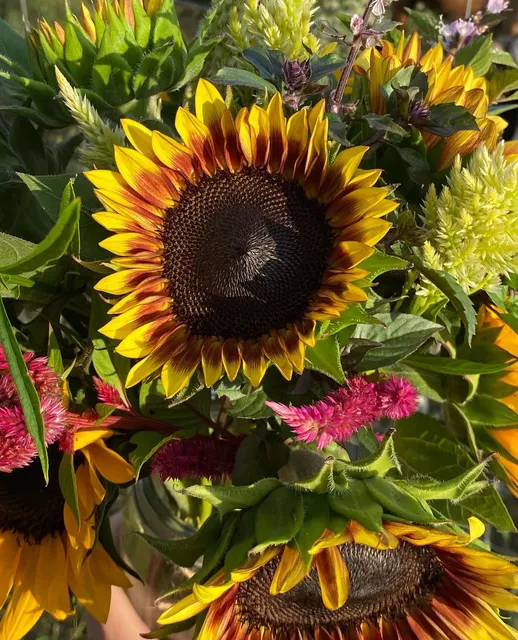 Happy Hole Flower Farm