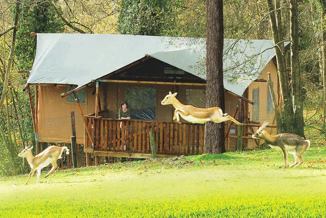 Cerza Safari Lodge