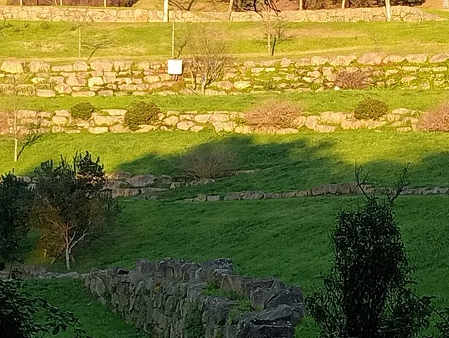 Rua do Lagarteiro 504