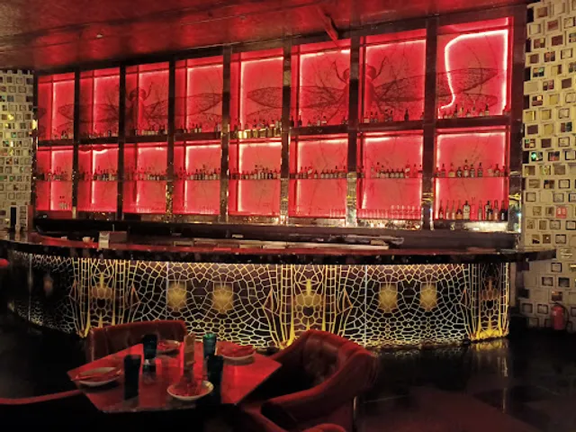 Dragonfly Experience Delhi