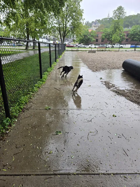 South Boston Bark Park