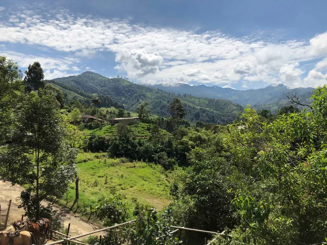 Ecoparque Mirador Salento