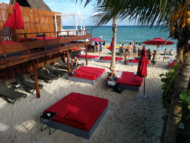 Coralina Daylight Club