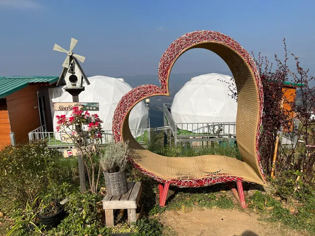 ร้อยรักภูชี้ฟ้า Phuchifa Sky Camp