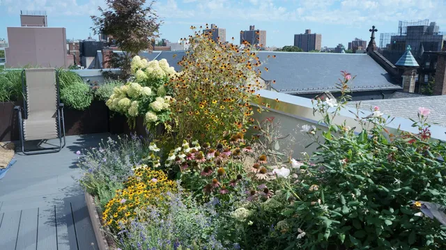 Red Fern Brooklyn Garden & Landscape Design