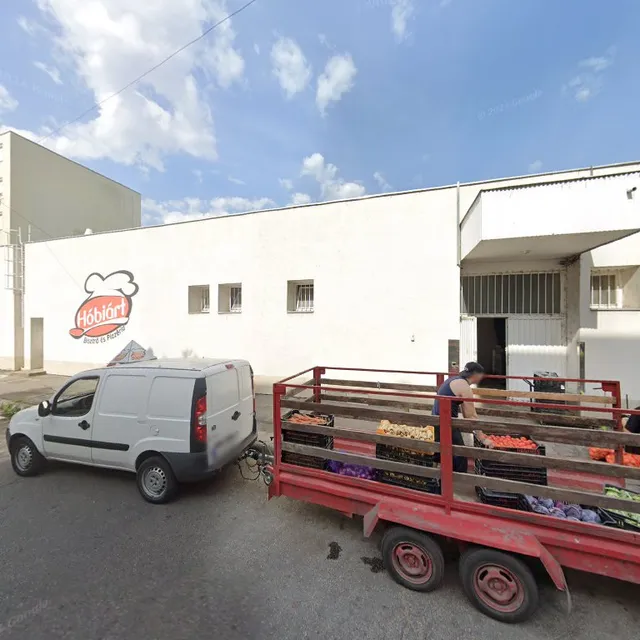 József Attila sgrt. 73