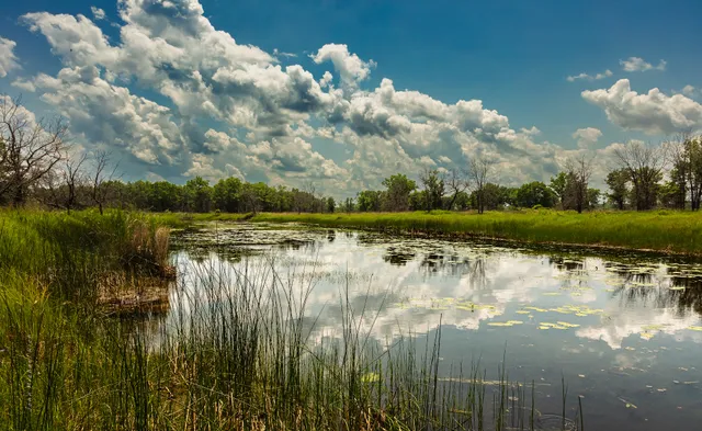Illinois Beach Resort