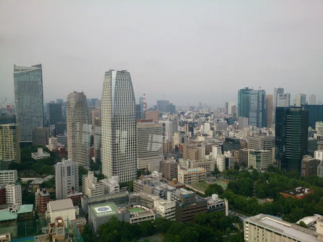 Observation Deck - First Floor