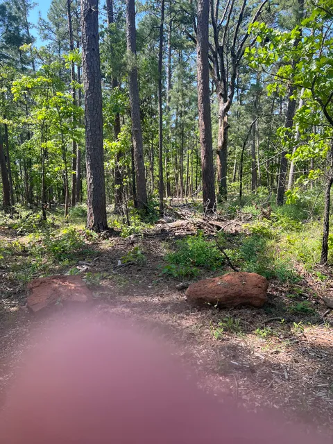 Whispering Pines Trail