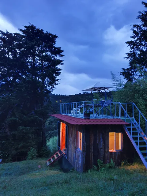 Treehouse Mountain View