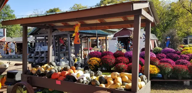 The Pepin Country Stop LLC