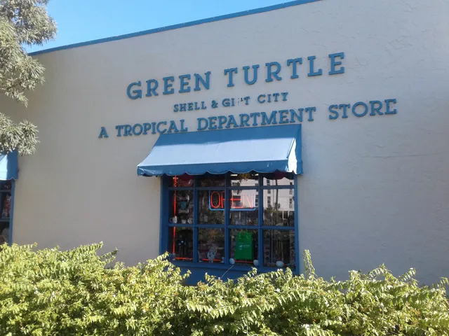 Green Turtle Shell & Gift Citys