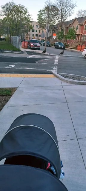 Madison Park Playground