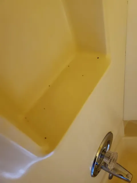 OYO Hotel Findlay OH I-75 & Broad Ave.