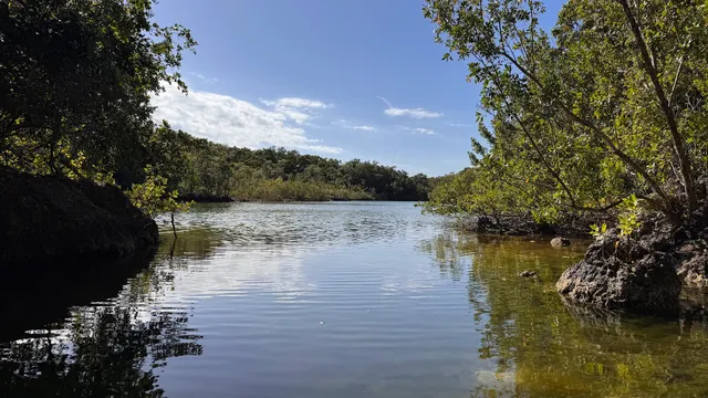 Dagny Johnson Key Largo Hammock Botanical State Park