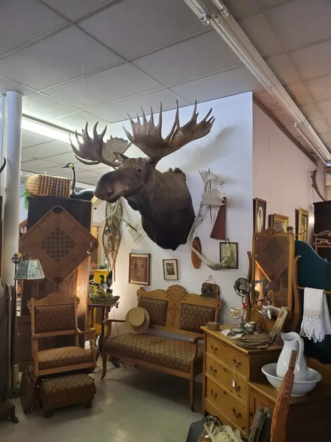 House with the Lions Antiques