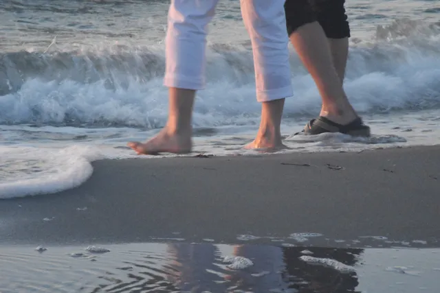 Ferienhaus Wiesenblume