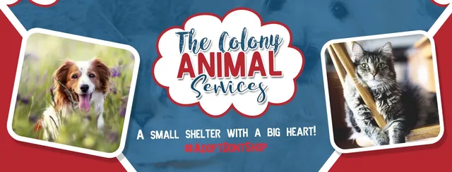 The Colony Animal Services