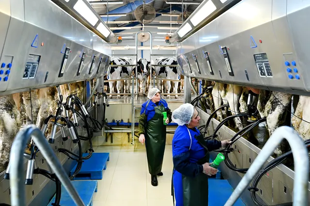 Yeremyan Products (Երեմյան Կաթնամթերք)