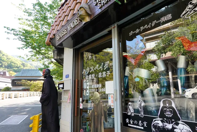 ハウスベイダー